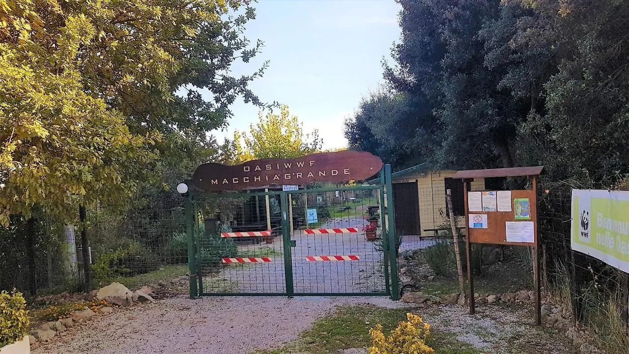 B&B Villa Jasiga Fregenae Bed & Breakfast